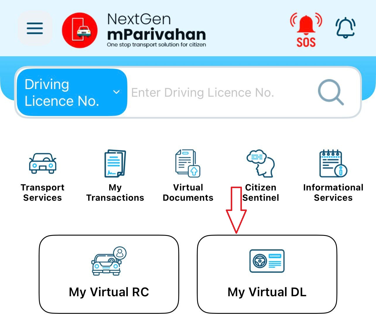 Virtual DL