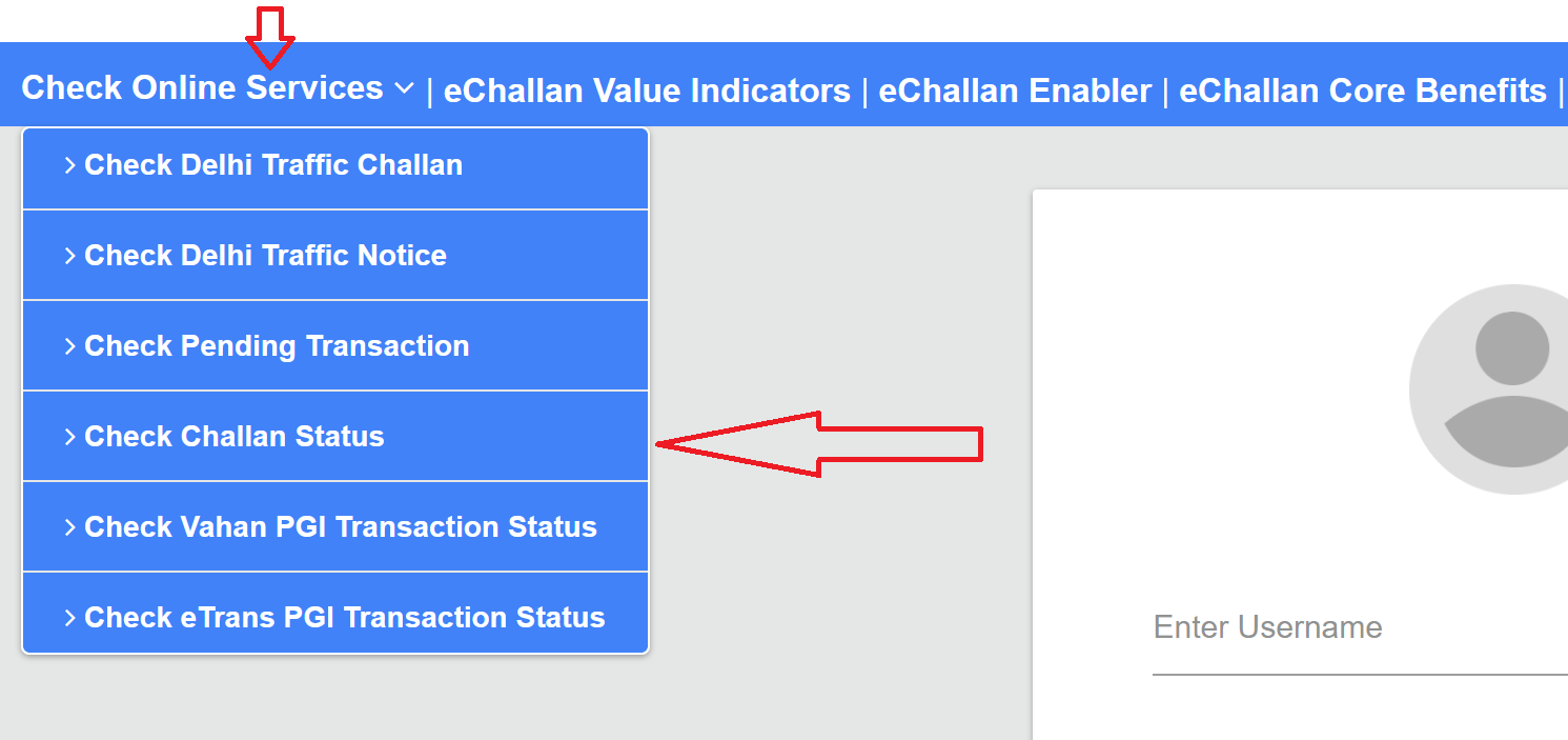 eChallan
