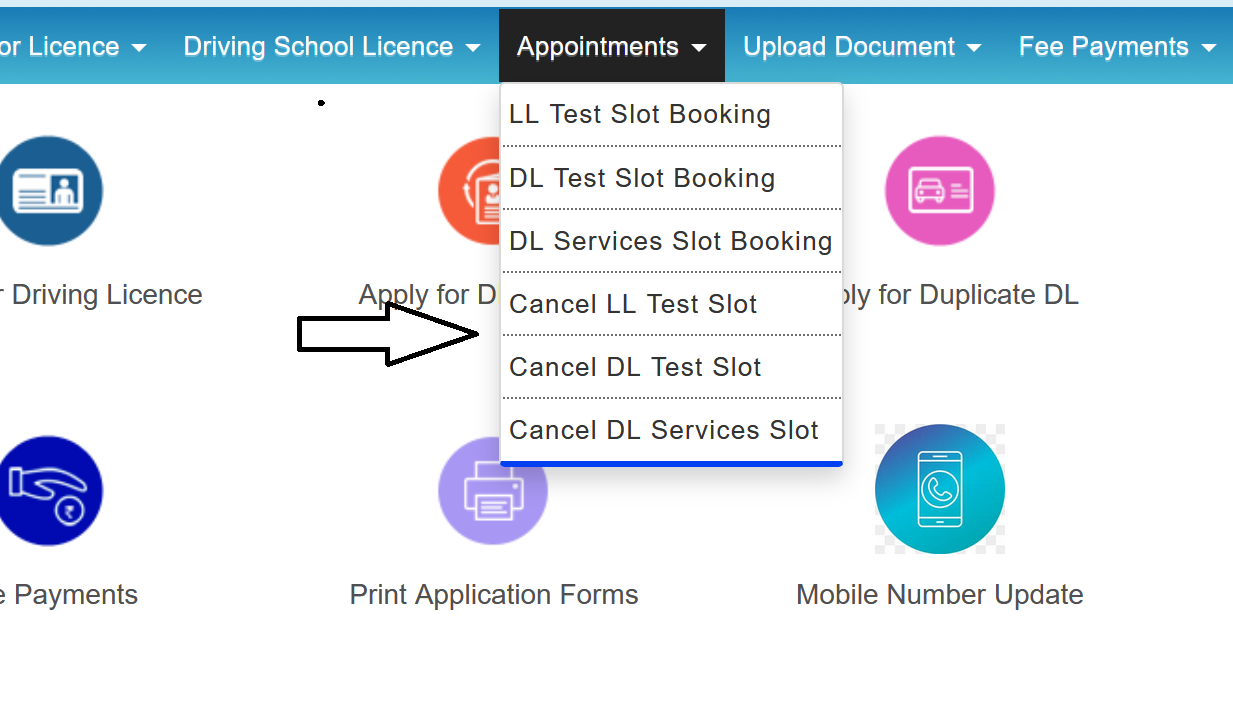 DL LL Slot